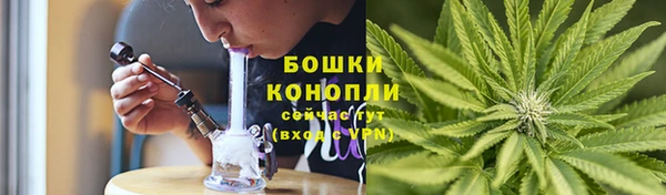 стаф Ростов