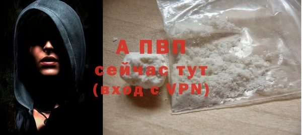 стаф Ростов