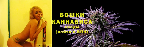 МДПВ Рославль