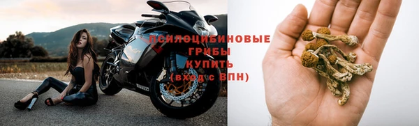 гашик Россошь