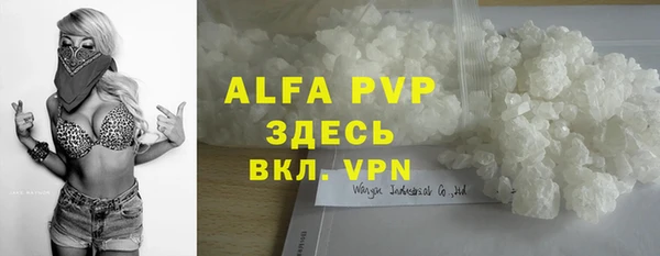 гашик Россошь