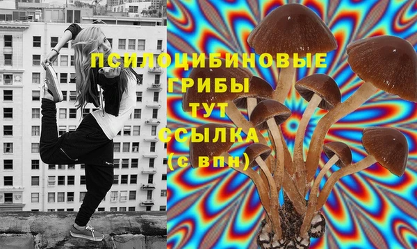 стаф Ростов