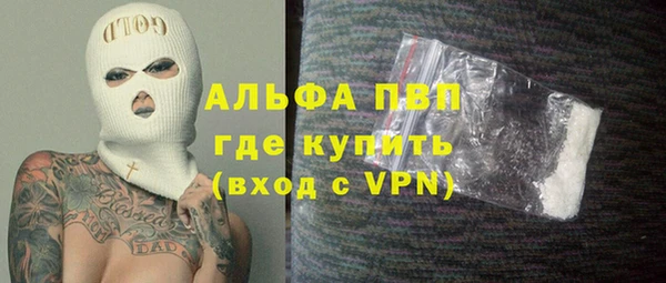 стаф Ростов