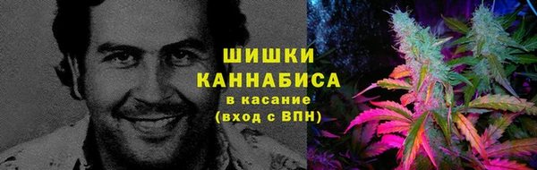 стаф Ростов