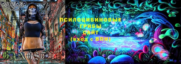 МДПВ Рославль